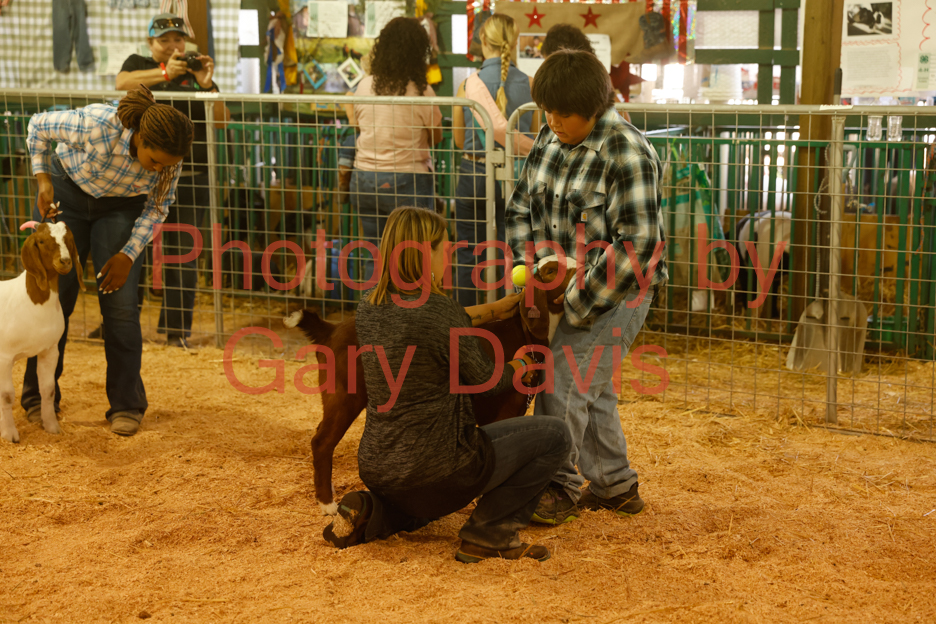 _MG_0261 (2)
